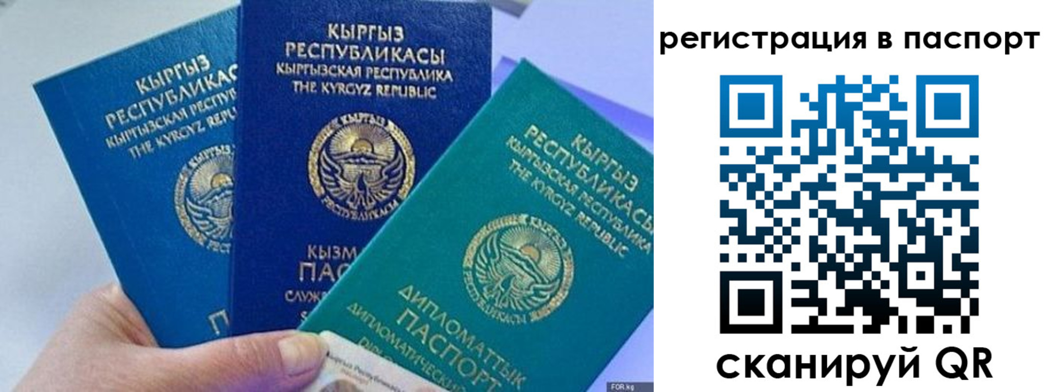 прописка 2025 в Бикине